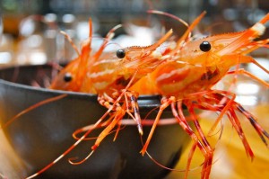 Prawns
