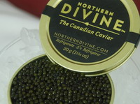 caviar tin crop